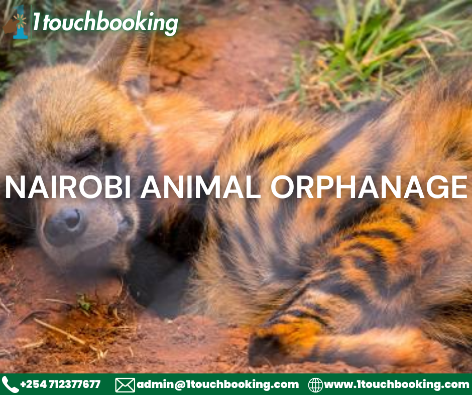 NAIROBI ANIMAL ORPHANAGE