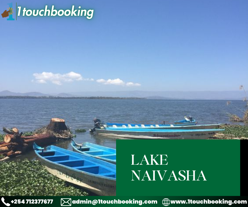 LAKE NAIVASHA