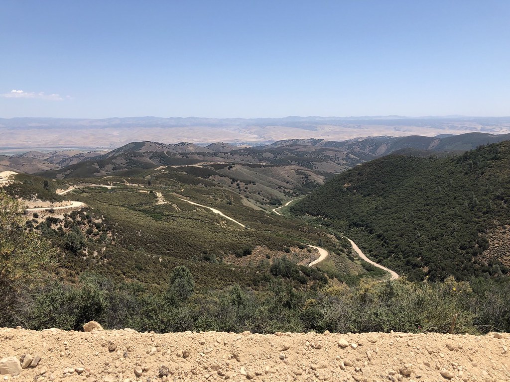 WILLIAMS HILLS