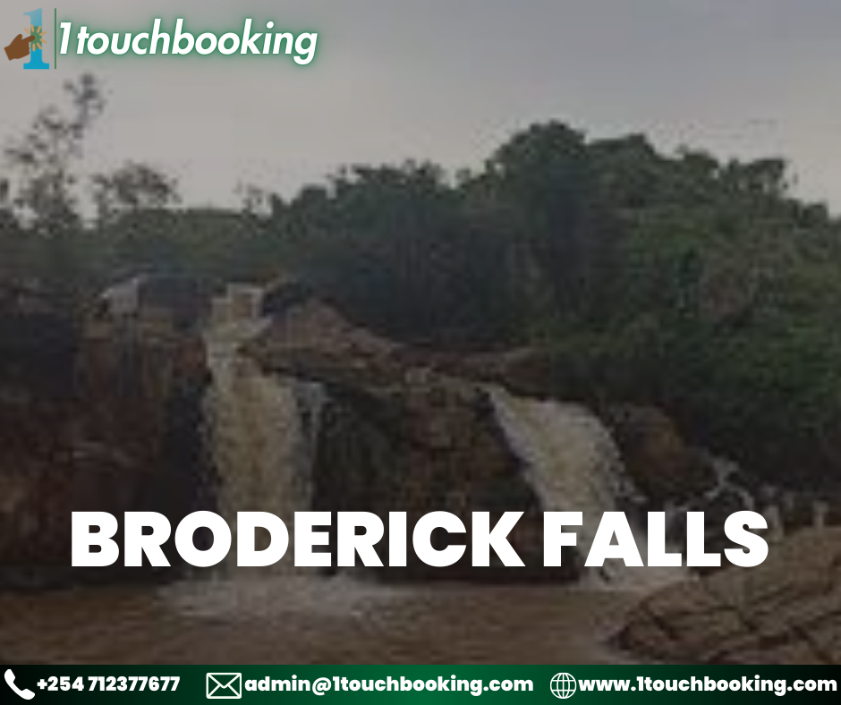 BRODERICK FALLS