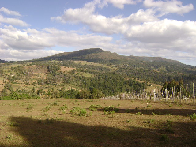 CHEPUNYAL HILLS