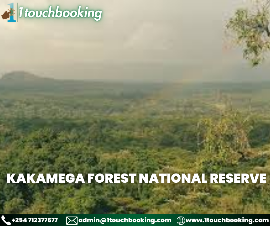 KAKAMEGA FOREST