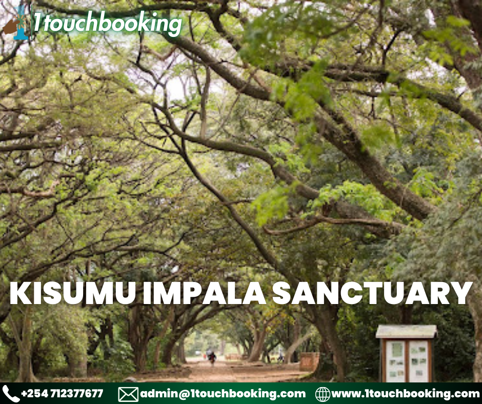 KISUMU IMPALA SANCTUARY