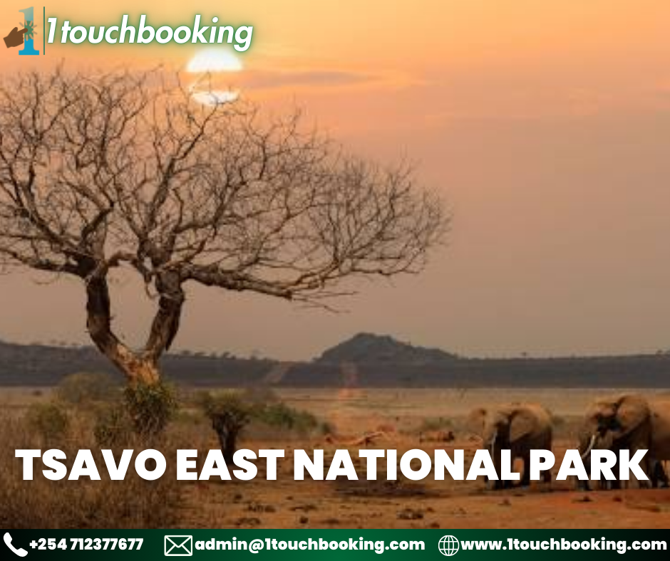 TSAVO EAST NATIONAL PARK