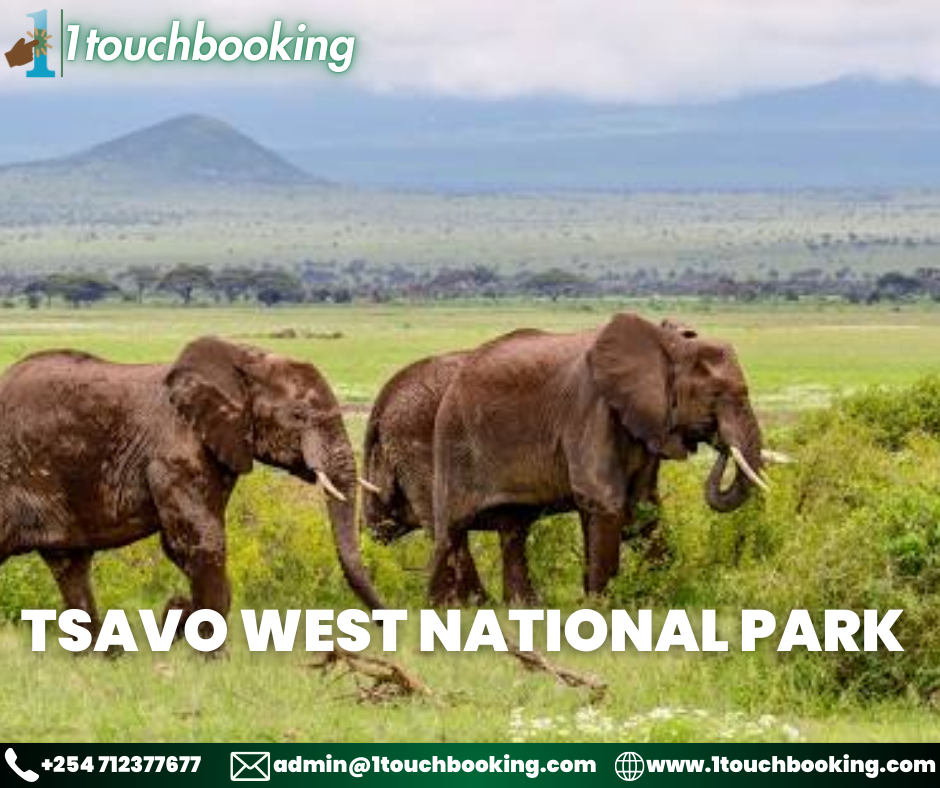 TSAVO WEST NATIONAL PARK
