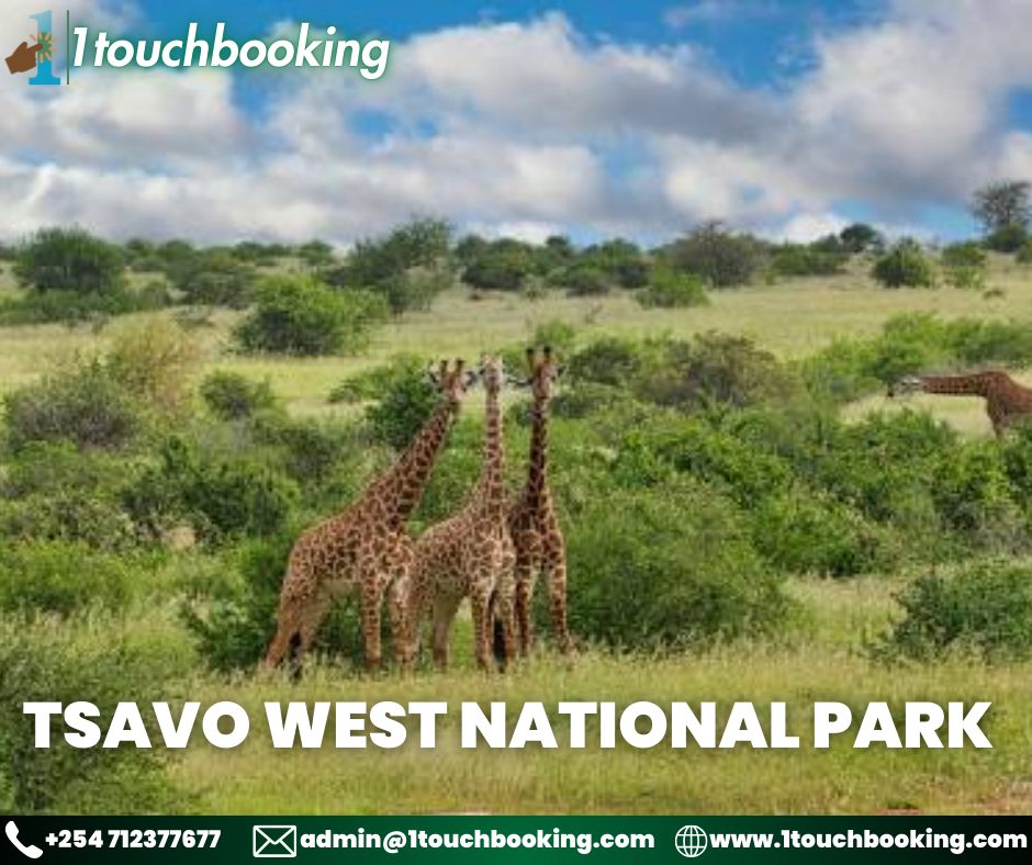TSAVO WEST NATIONAL PARK