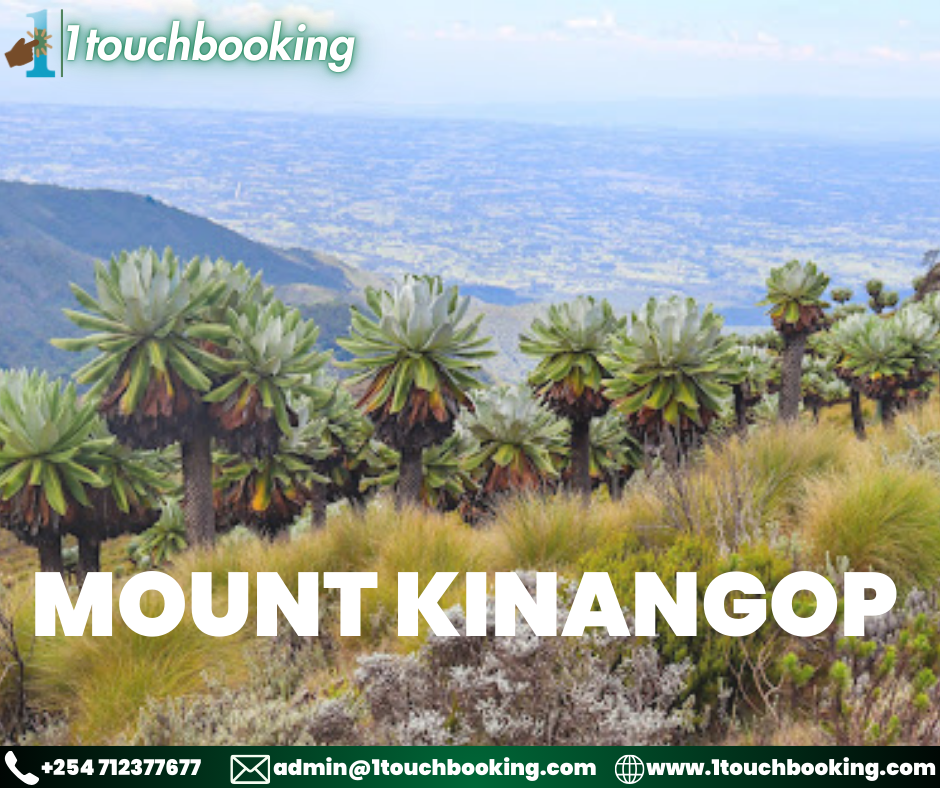 MOUNT KINANGOP