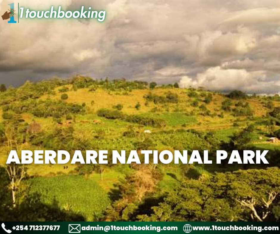 ABERDARE NATIONAL PARK