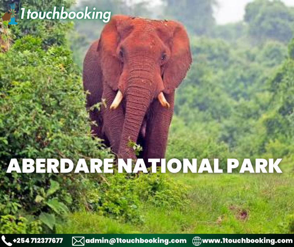 ABERDARE NATIONAL PARK