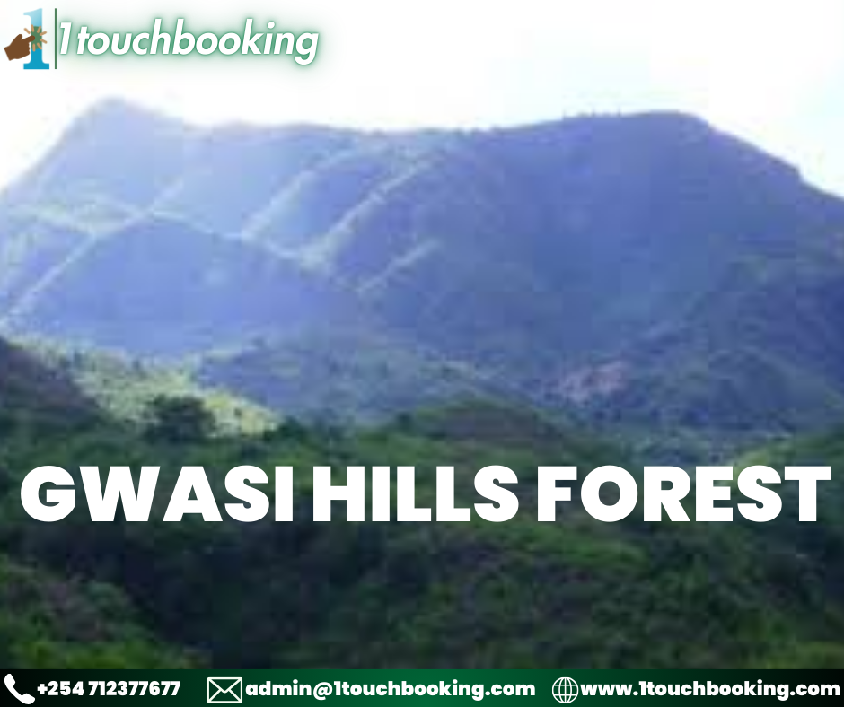 GWASI HILLS FOREST