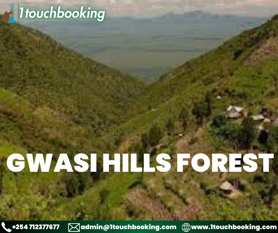 GWASI HILLS FOREST