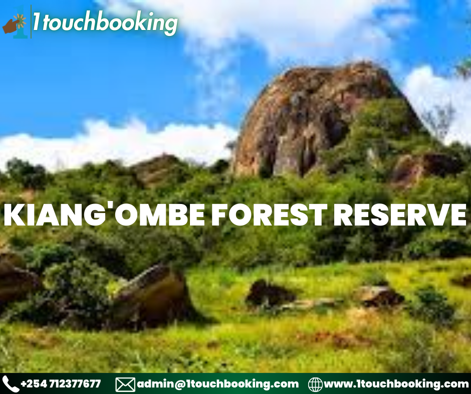 KIANG'OMBE FOREST RESERVE
