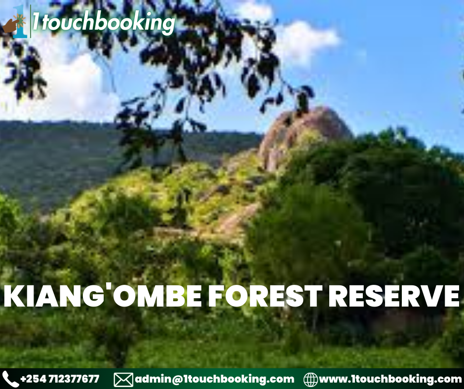 KIANG'OMBE FOREST RESERVE