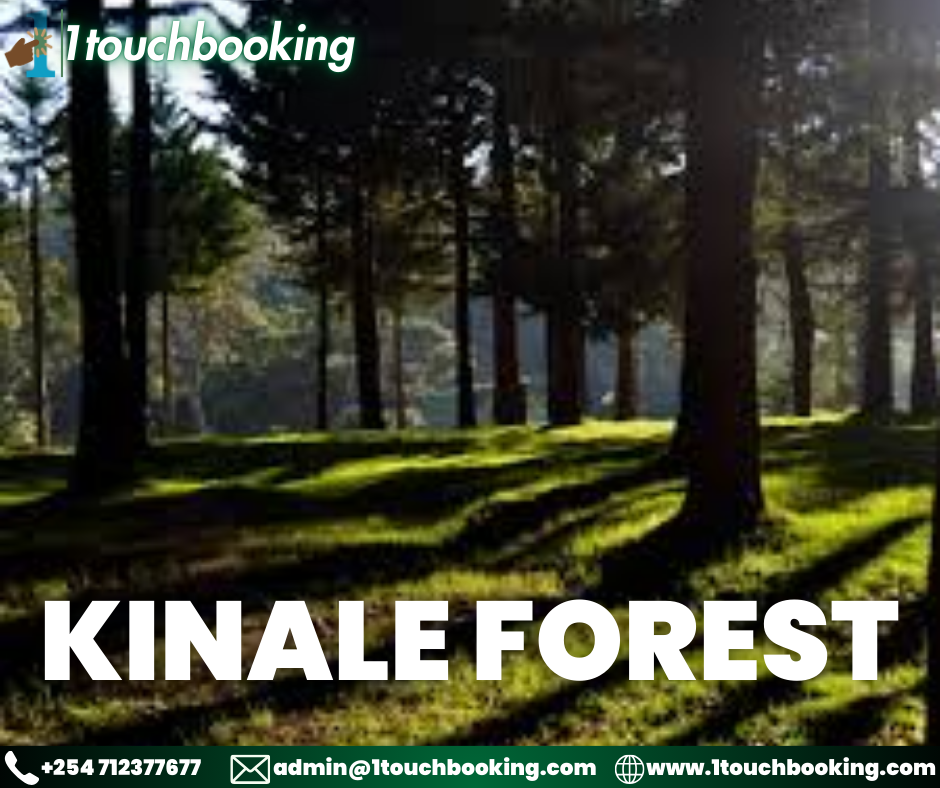 KINALE FOREST