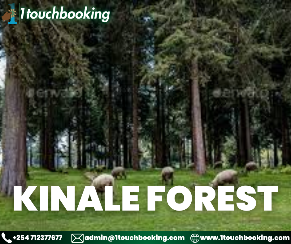 KINALE FOREST