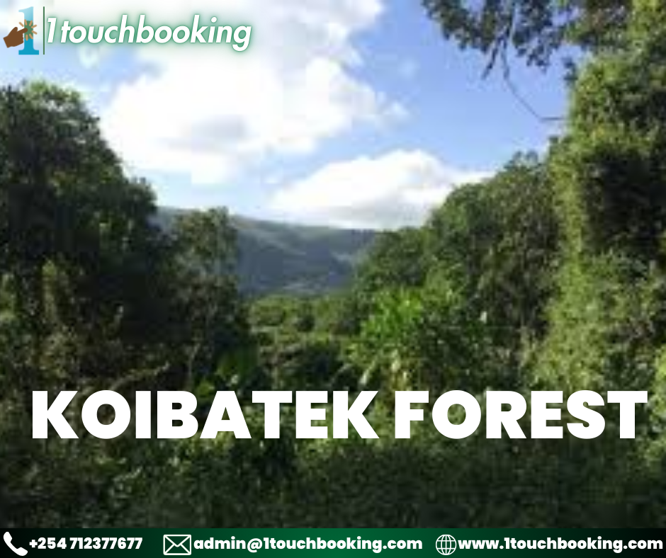 KOIBATEK FOREST