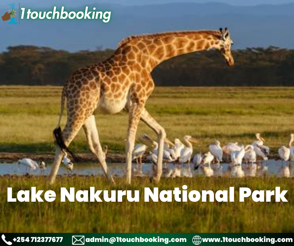 LAKE NAKURU NATIONAL PARK
