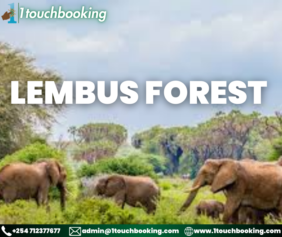 LEMBUS FOREST