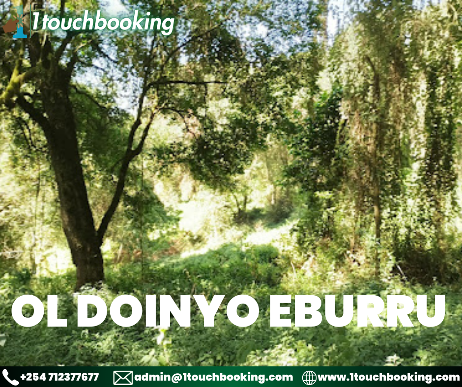 OL DOINYO EBURRU