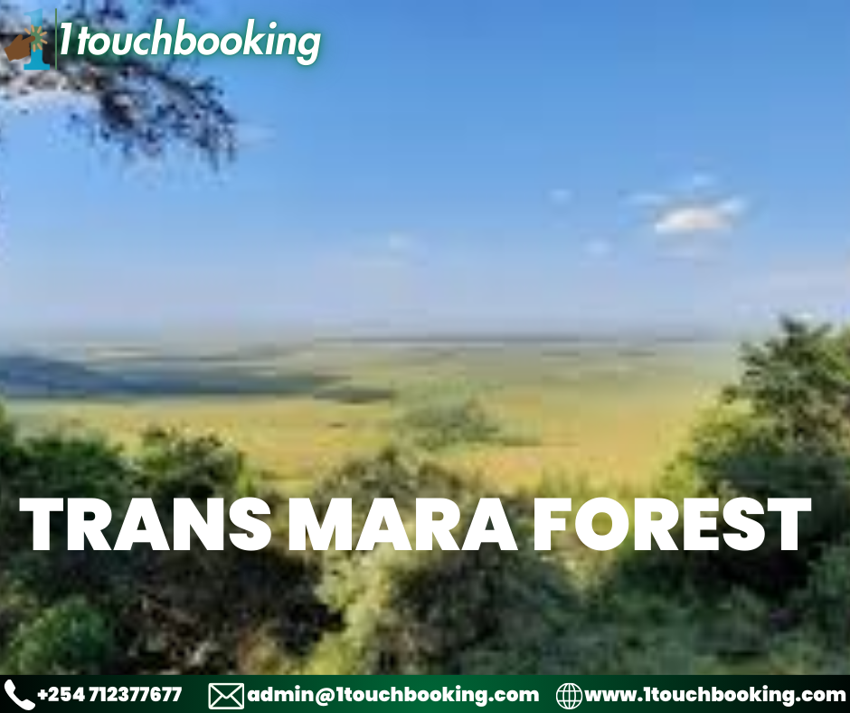 TRANS MARA FOREST