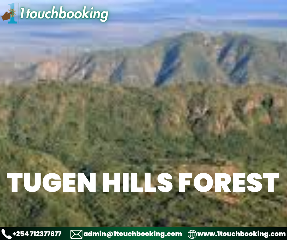 TUGEN HILLS FOREST