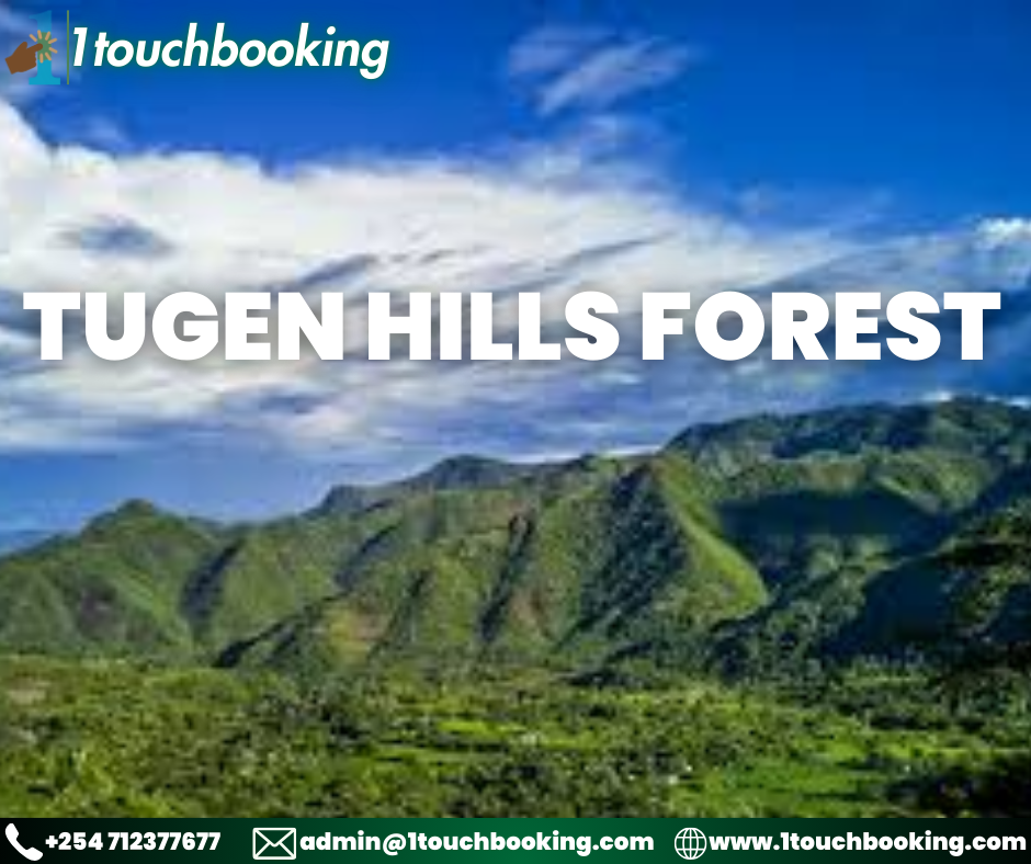TUGEN HILLS FOREST
