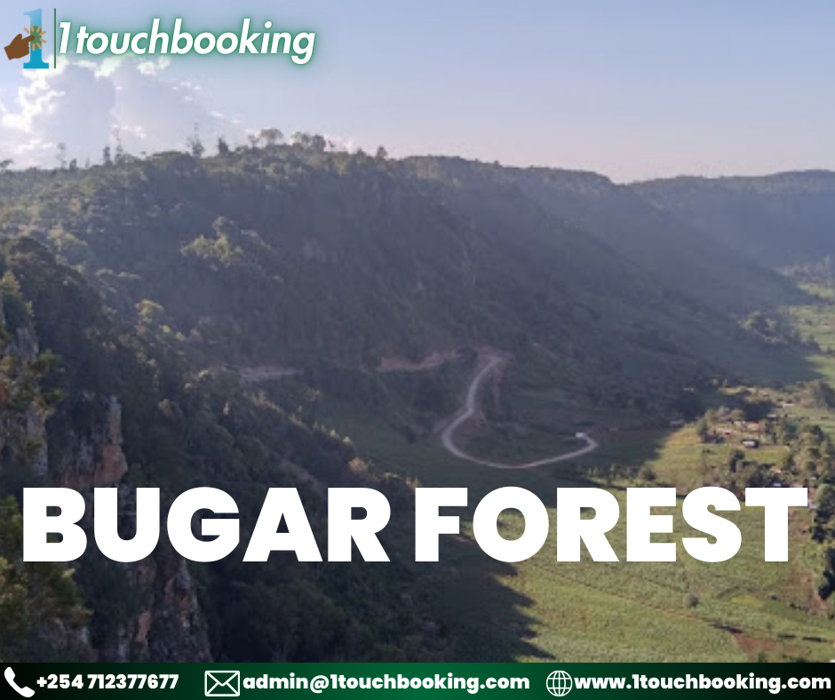 BUGAR FOREST
