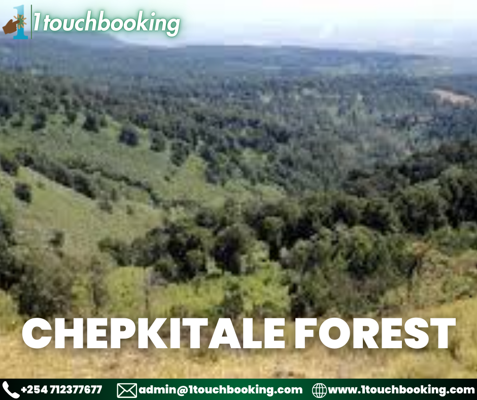 CHEPKITALE FOREST