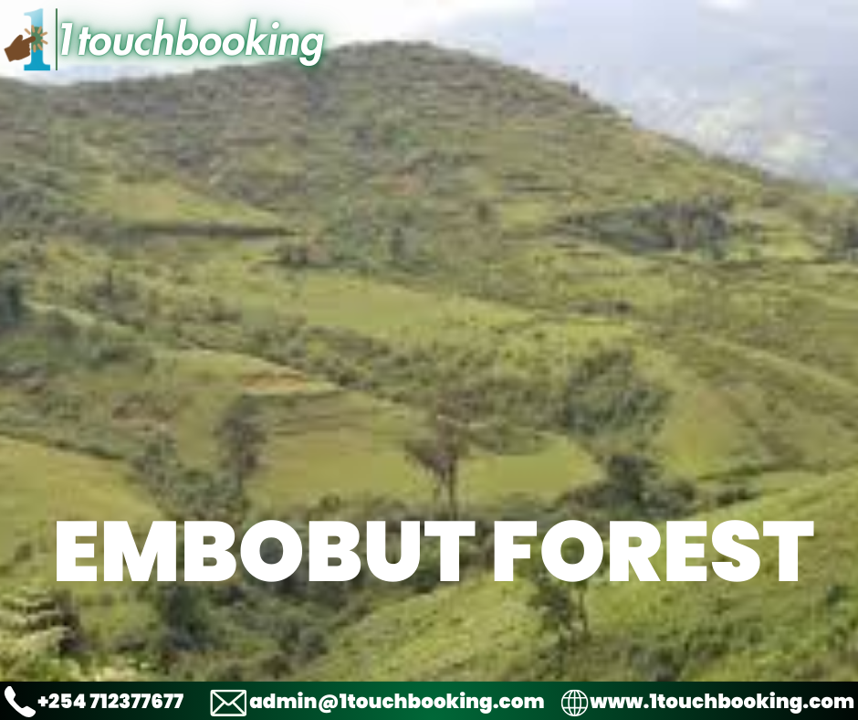 EMBOBUT FOREST