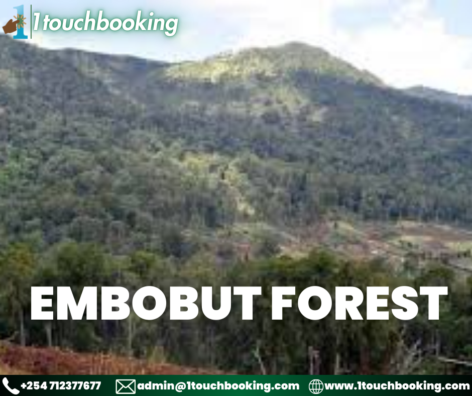 EMBOBUT FOREST