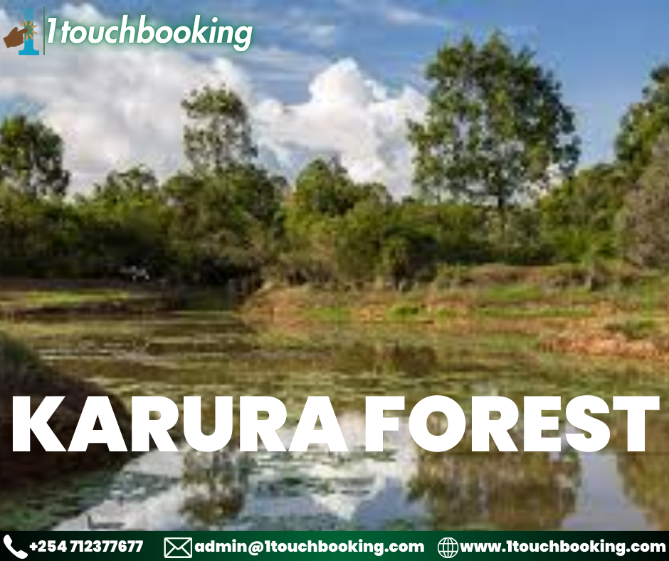 KARURA FOREST