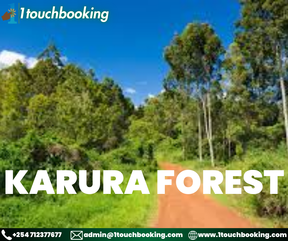 KARURA FOREST