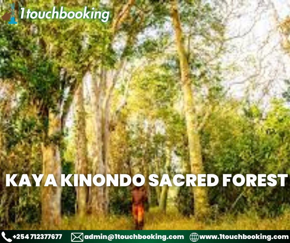 KAYA KINONDO SACRED FOREST