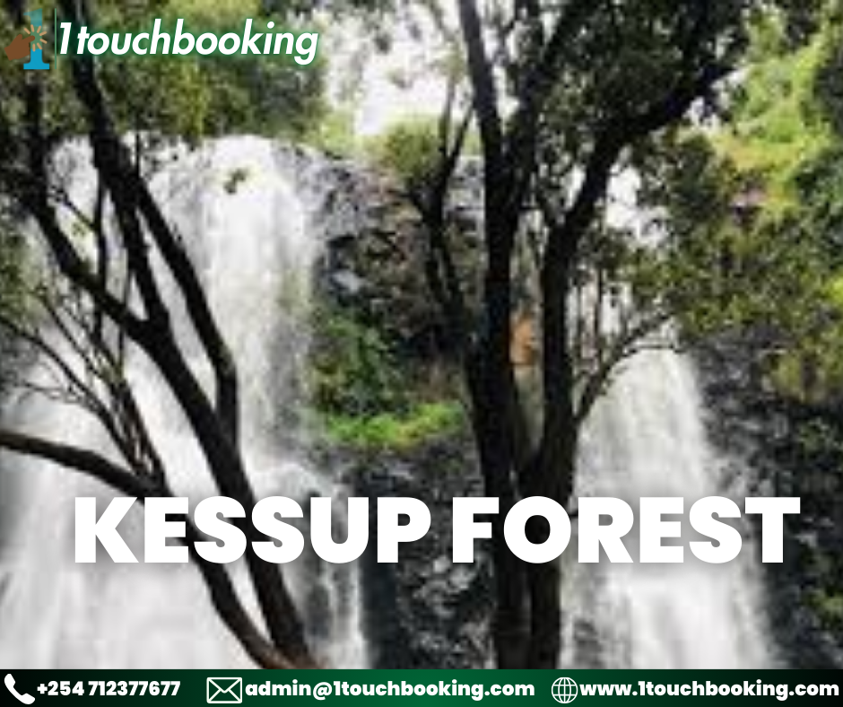 KESSUP FOREST
