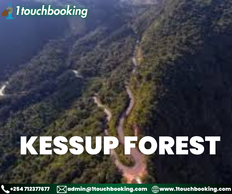 KESSUP FOREST