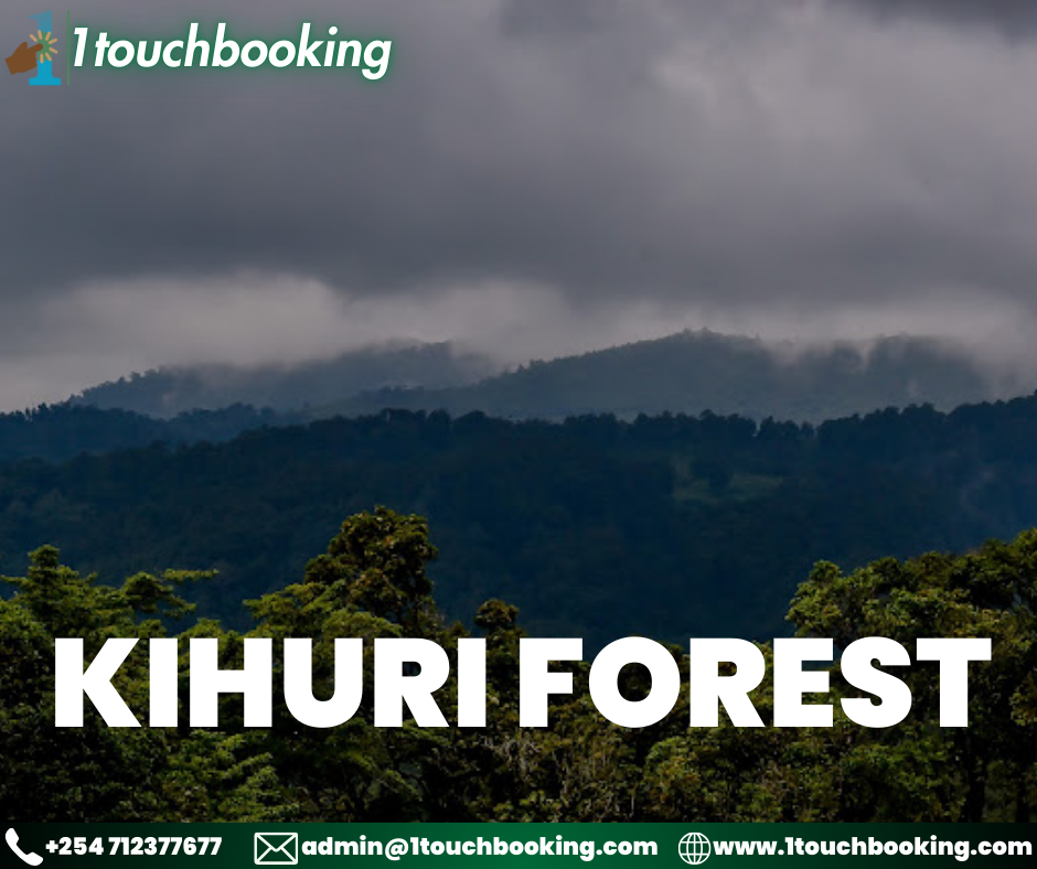 KIHURI FOREST