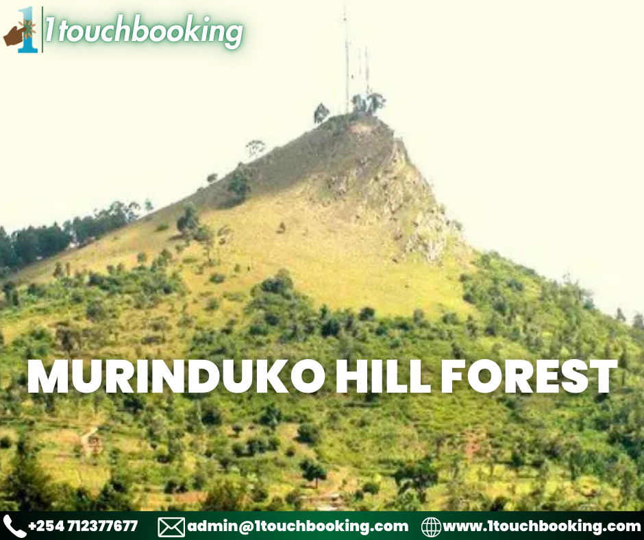 MURINDUKO HILL FOREST