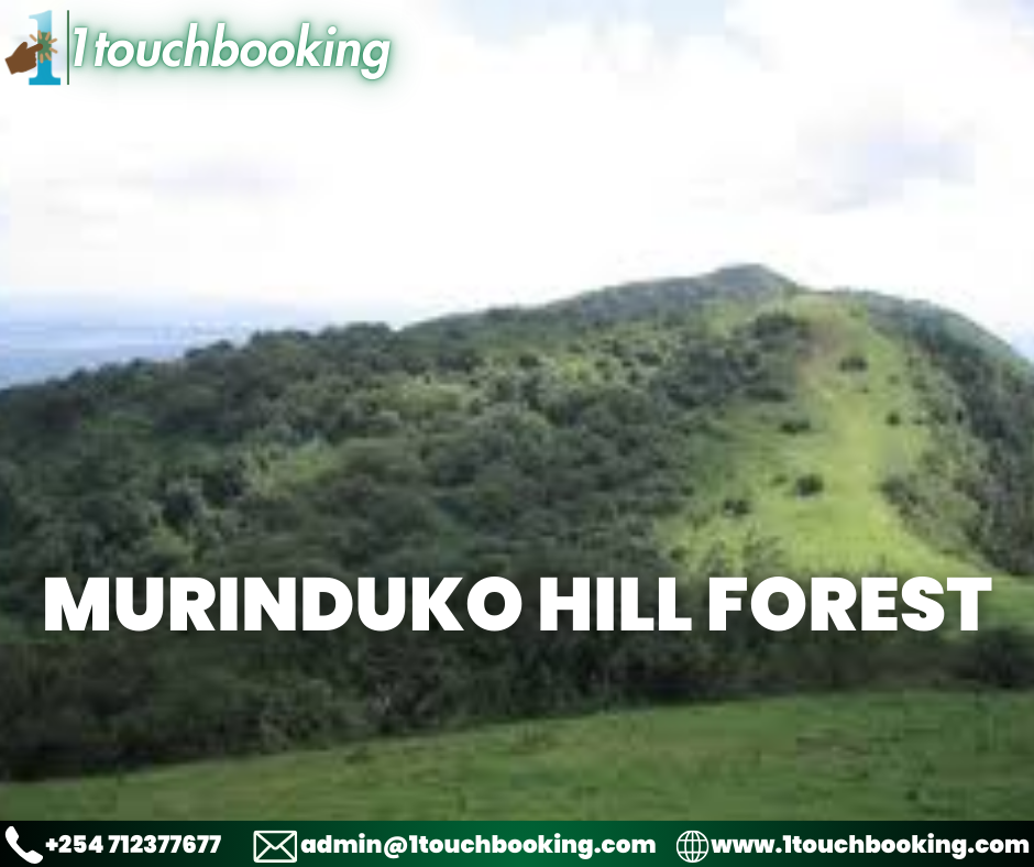 MURINDUKO HILL FOREST