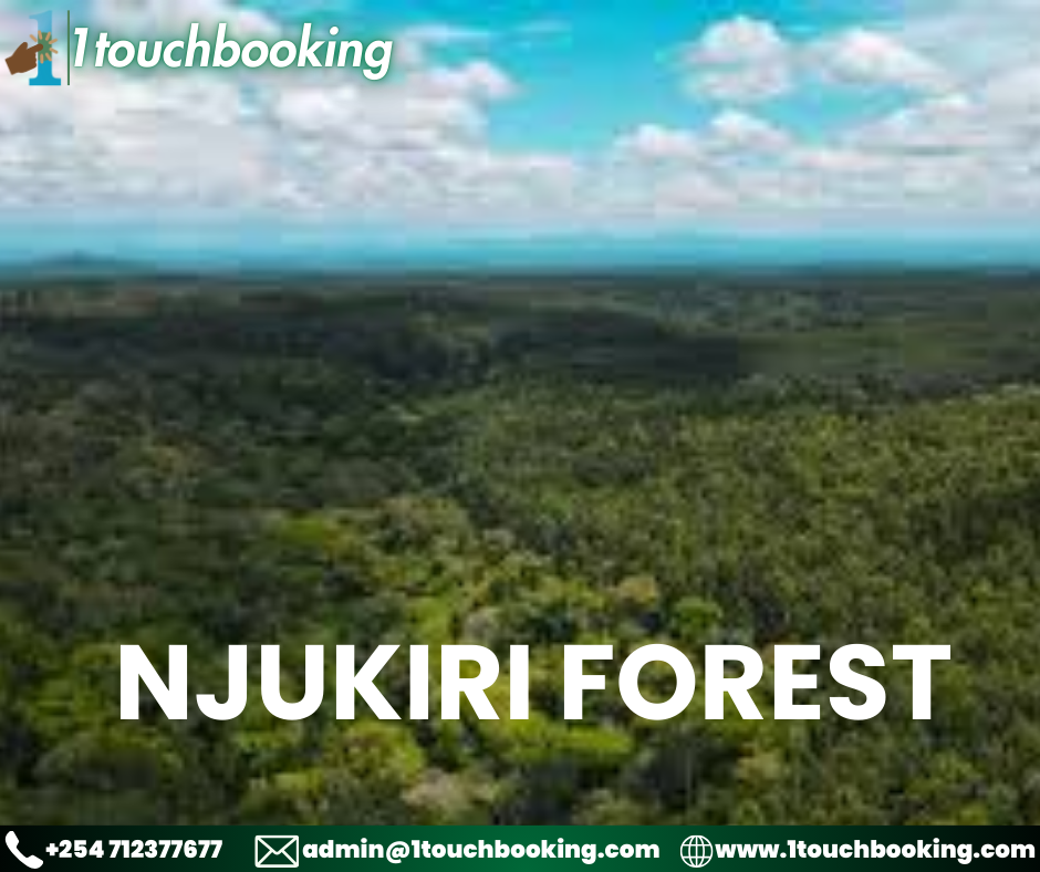 NJUKIRI FOREST