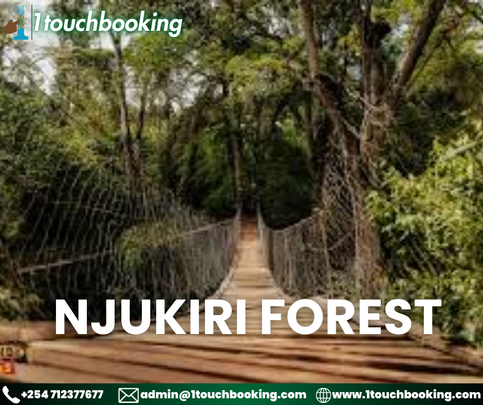 NJUKIRI FOREST