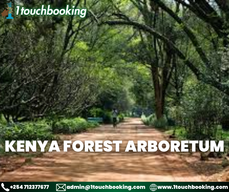 KENYA FOREST ARBORETUM