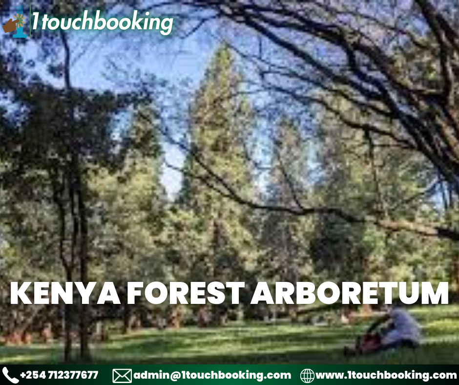 KENYA FOREST ARBORETUM