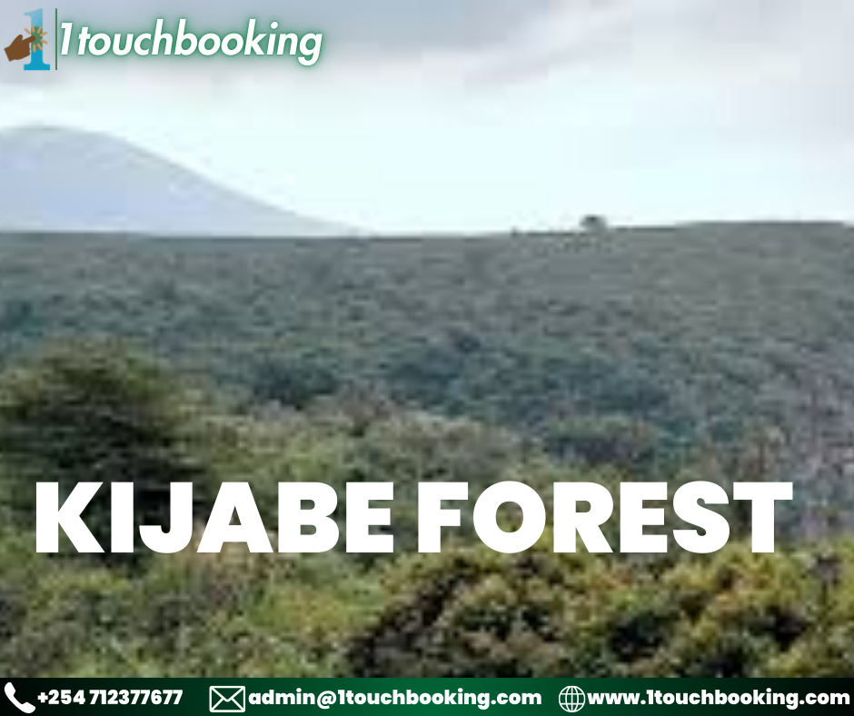 KIJABE FOREST