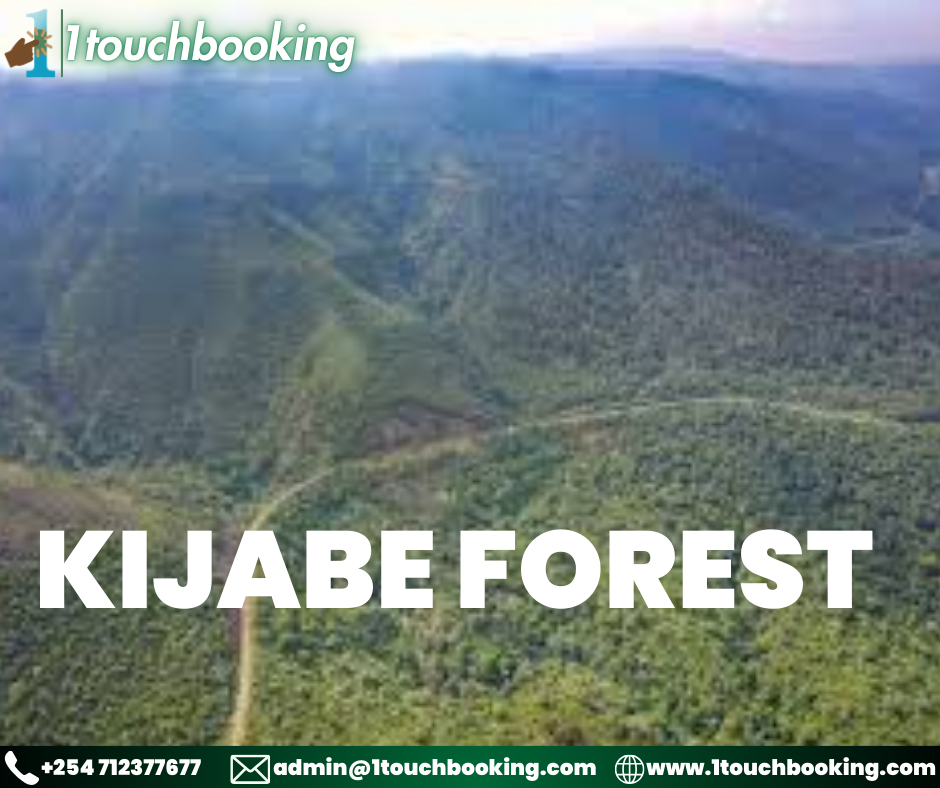 KIJABE FOREST