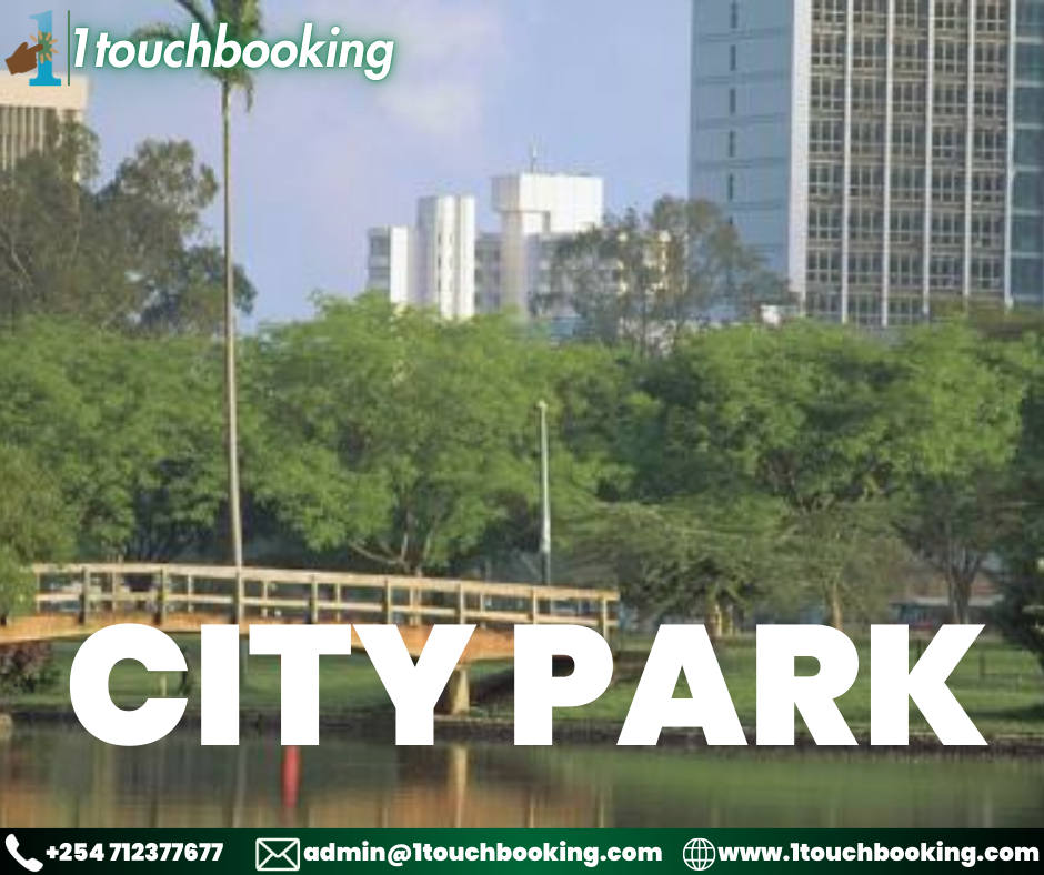 CITY PARK