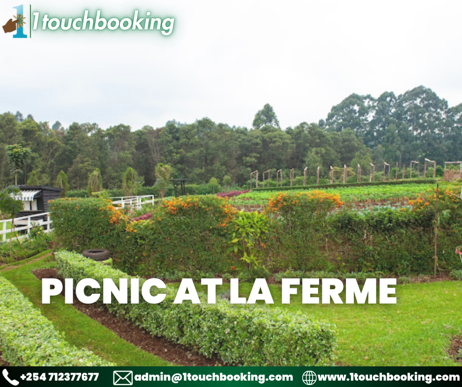 PICNIC AT LA FERME