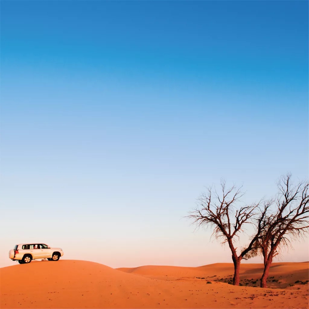ABU- DHABI - AN EXCELLENT PACKAGE OF ADVENTURE,DESERT,BEACHES & LANDMARKS