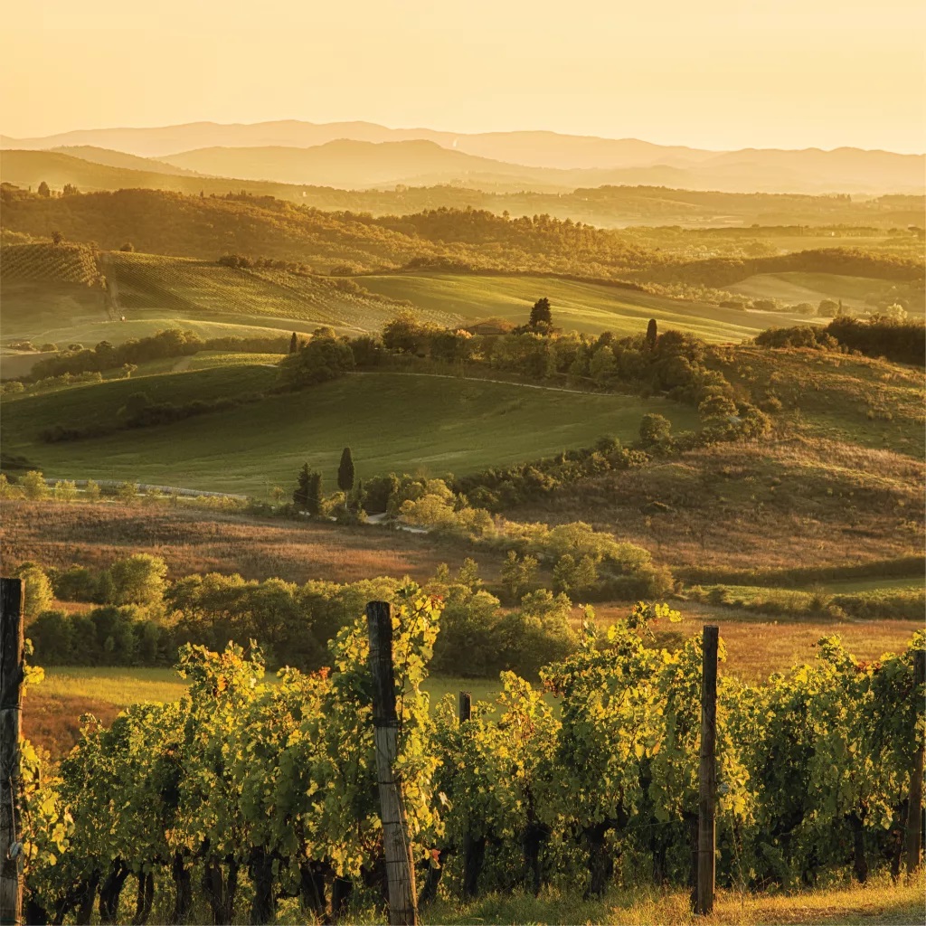 Chianti, Italy