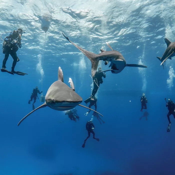 Bahamas