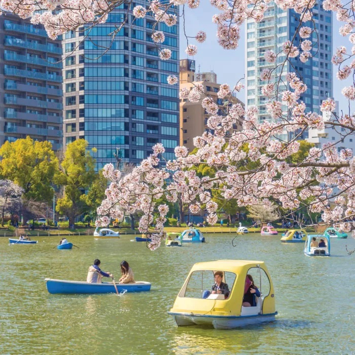 Uenokoen, Taito City, Tokyo 110-0007, Japan